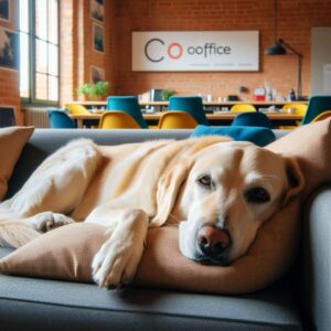 the cooffice